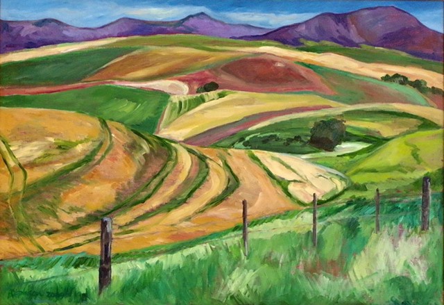 Caledon Ploughed Fields