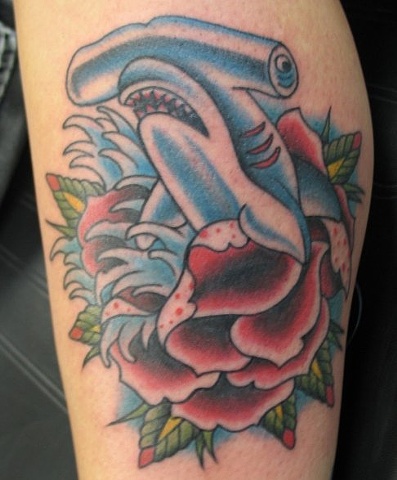 Peter McLeod Tattoo Hammerhead shark Rose traditional tattoo