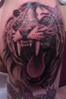 Tiger tattooed over a really big scar.