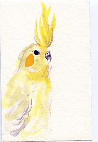 hand watercolored bird card