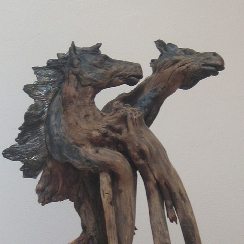 Wild Stallions