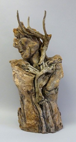 Portrait of John Muir