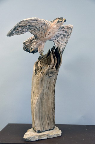 Ready to Soar