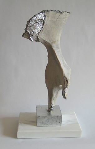 Memorial to Lost Wildlife