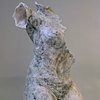 Torso in Motion