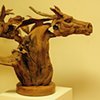 Spirit Horses