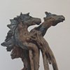 Wild Stallions