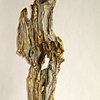 Golden Burl