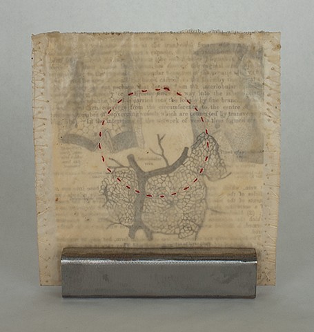 Lois Epperson-Gale, interstitial memory II (back view), Gray's Anatomy page, paper, thread, wax, steel, 2011