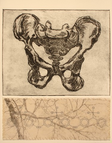 Lois Epperson-Gale, homage to rachel carson, etching on hahnemuhle paper, photo transfer on kozo paper, archival inkjet print of the chemical structure of ddt, wax, silk thread, 2008 