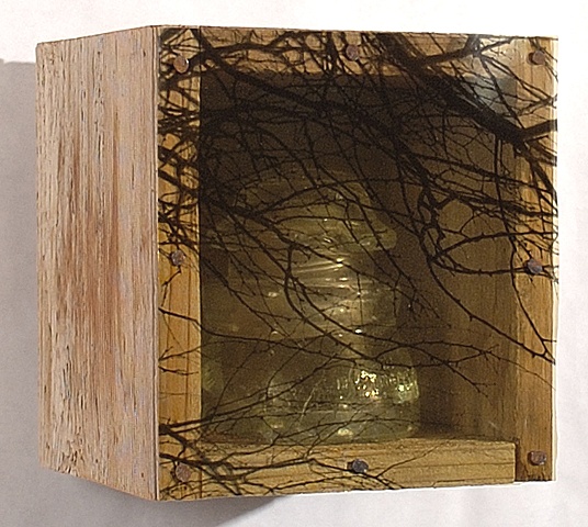 Lois Epperson-Gale, in situ II, assemblage (used pallette wood, found object, nails, orthochromatic film positive, shellac), 2009