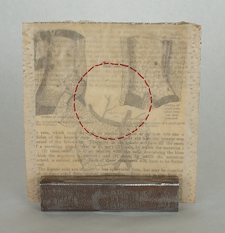 Lois Epperson-Gale, interstitial memory II, Gray's Anatomy page, paper, thread, wax, steel, 2011