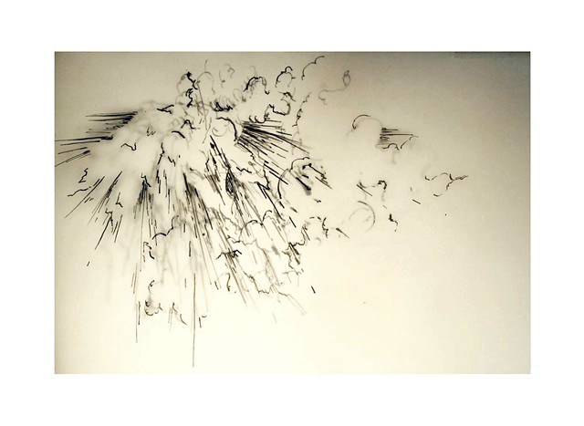 Drawing with pen and ink on tracing paper by Caroline Tobin. 2010