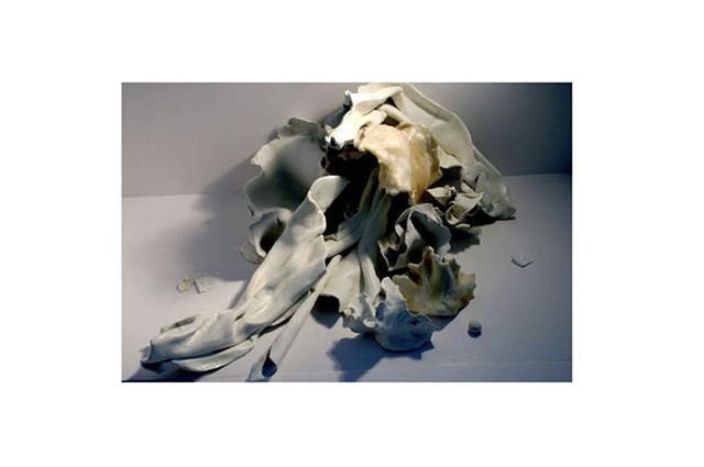 Photograph of hand-made sculptures by Caroline Tobin. 2011