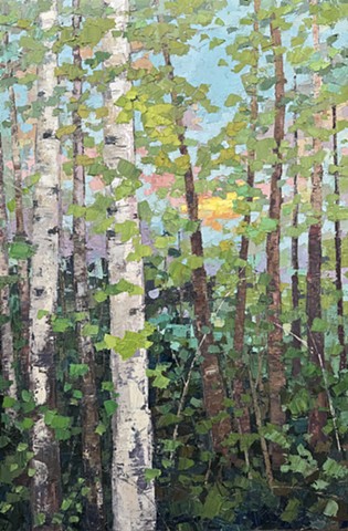 Woods Walking