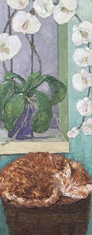 As Ginger Sleeps