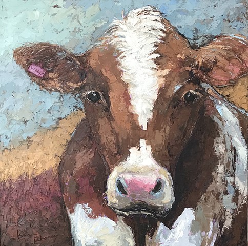 Brown and white cow with land