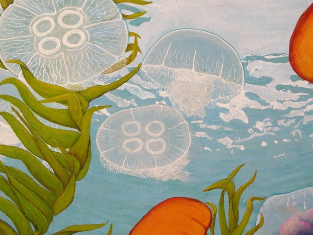 Plankton Mural; Moon Jellies