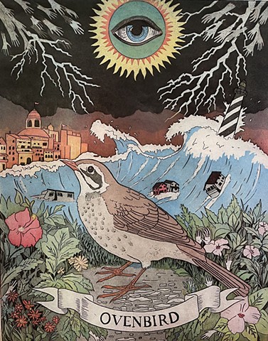A bird stand in the foreground while hurricanes destroy San Juan and Cape Hatteras.