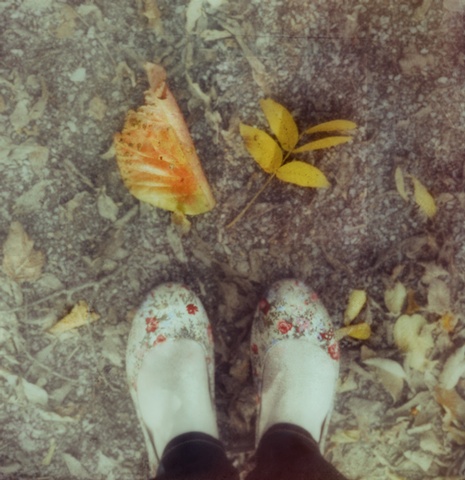welcome, autumn 