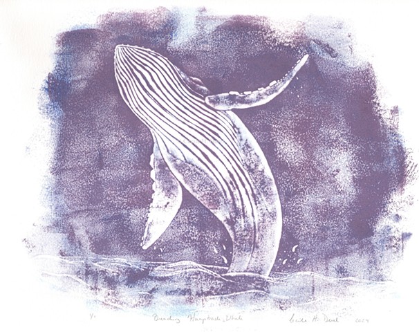 Original, hand pulled art print of a breaching Humpback Whale