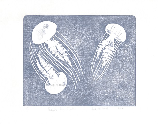 Original, hand pulled art print of three Pacific Sea Nettles jellyfish