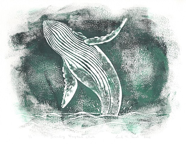 Original, hand pulled art print of a breaching Humpback Whale