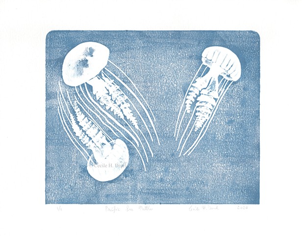 Original, hand pulled art print of three Pacific Sea Nettles jellyfish