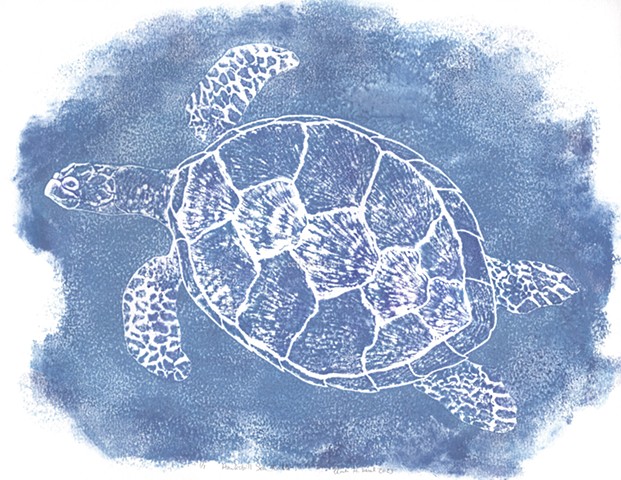 Original, hand pulled art print of a Hawksbill Sea Turtle