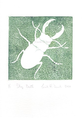 Original, hand pulled art print of a Stag Beetle