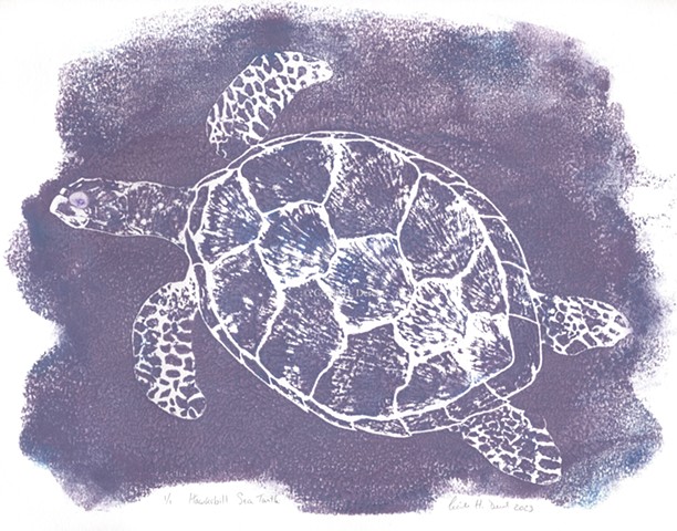 Original, hand pulled art print of a Hawksbill Sea Turtle
