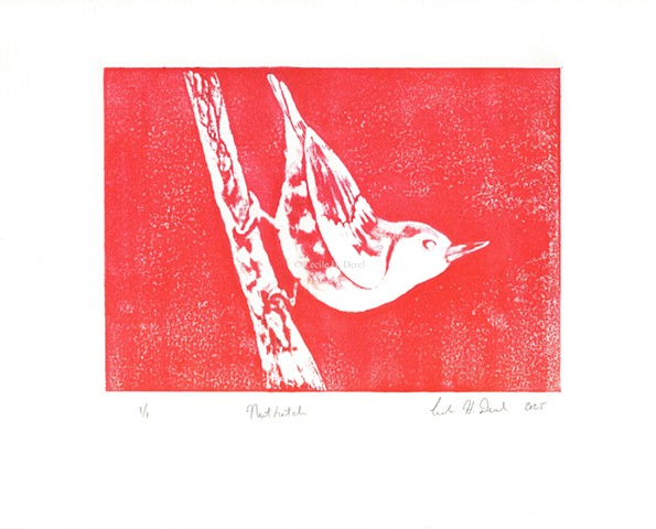 Original, hand pulled art print of a nuthatch