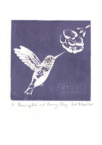 Original, hand pulled art print of a hummingbird and morning glory