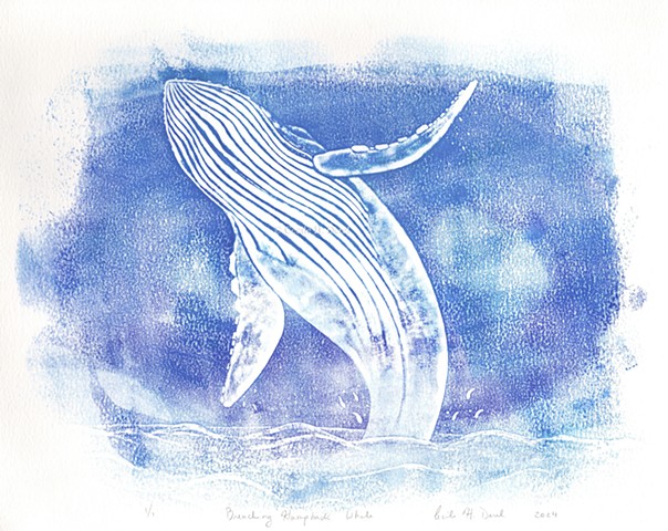 Original, hand pulled art print of a breaching Humpback Whale