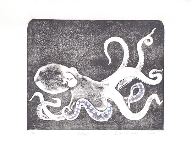 Original, hand pulled art print of an Octopus