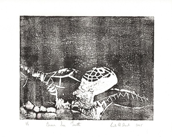 Original, hand pulled art print of a Green Sea Turtle