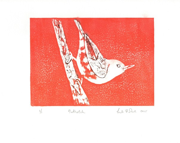 Original, hand pulled art print of a nuthatch