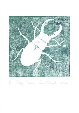 Original, hand pulled art print of a Stag Beetle