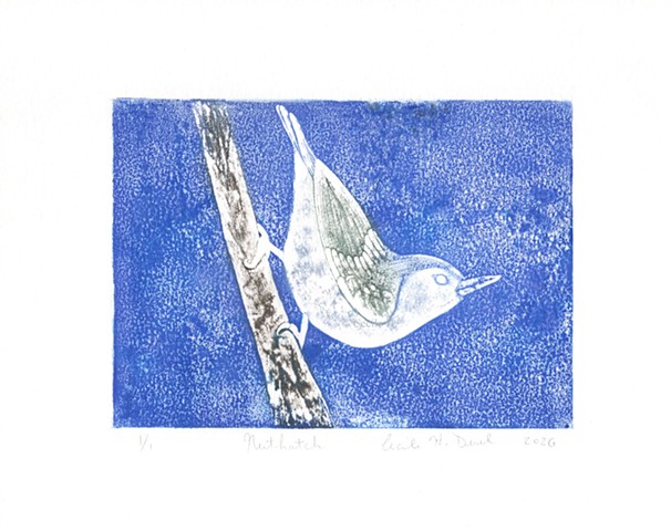Original, hand pulled art print of a nuthatch