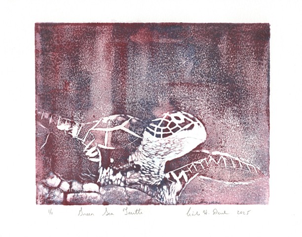 Original, hand pulled art print of a Green Sea Turtle