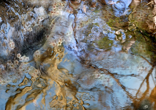 Digital photographs of water surface, composed in photoshop