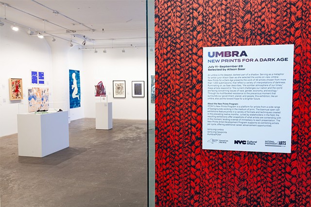 Umbra: New Prints Summer 2019, International Print Center New York