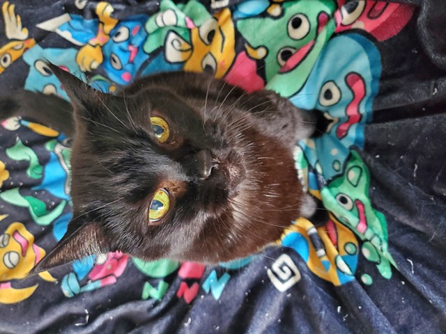 Shady Thanhouser 2007 - 2025