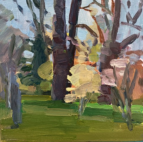 Spring Trees, RW park 26