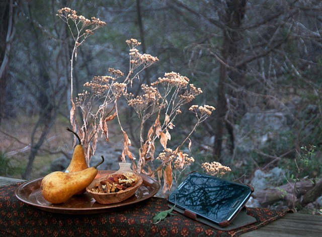 Still Life in the Deep Wood, No. 1940