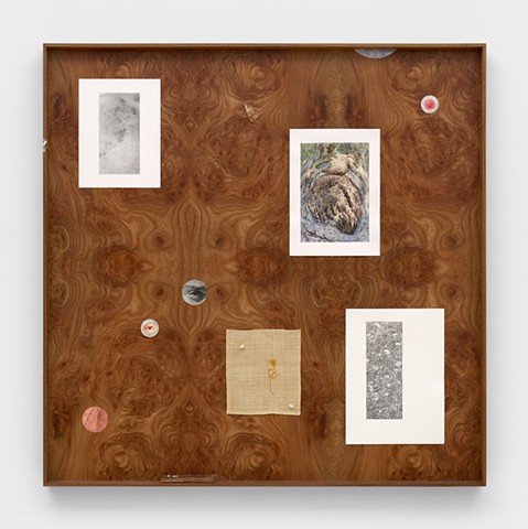 Untitled (Skin, Constellation 2)