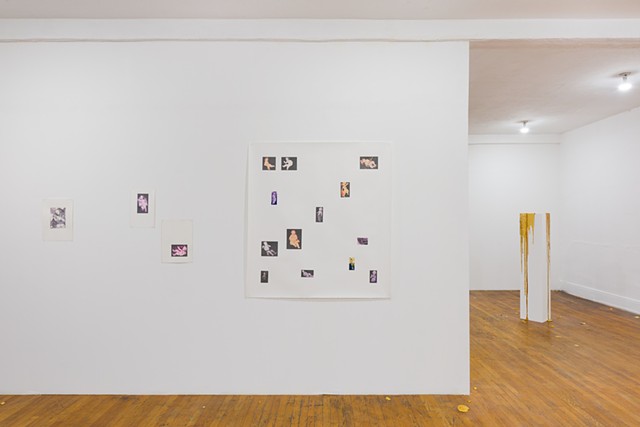 Installation view at Commonwealth and Council, Los Angeles