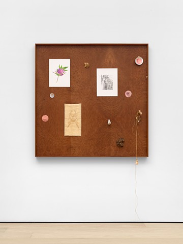 Untitled (Skin, Constellation 7)
