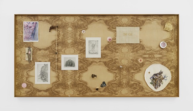 Untitled (Skin, Constellation 5)