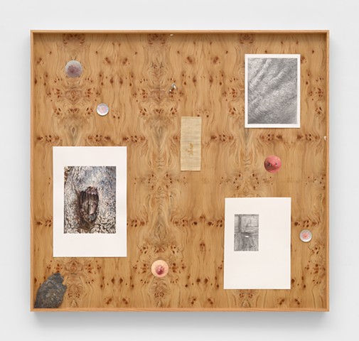 Untitled (Skin, Constellation 1)